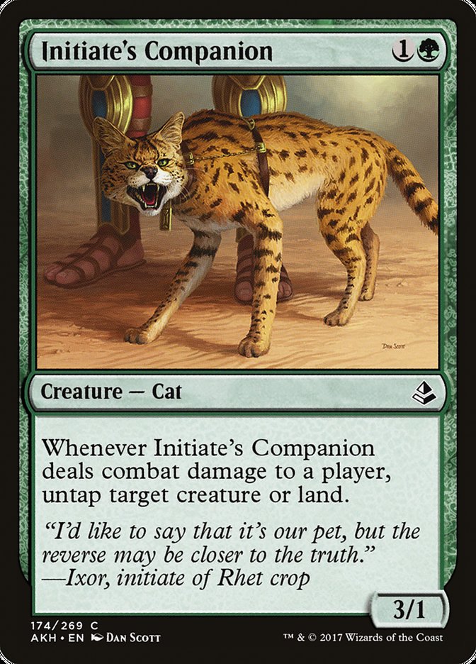 Initiate's Companion, Amonkhet Card Art
