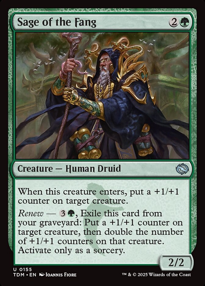 Sage of the Fang, Tarkir: dragonstorm Card Art