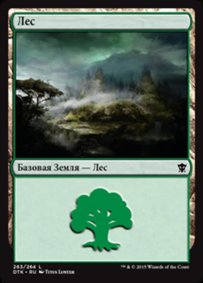 Forest, Dragons Of Tarkir Card Art