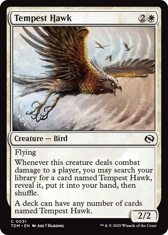 Tempest Hawk, Tarkir: dragonstorm Card Art