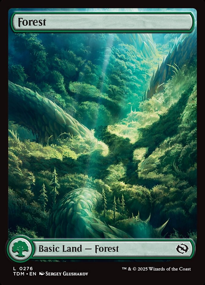 Forest, Tarkir: dragonstorm Card Art