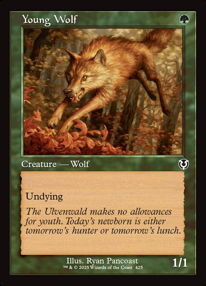 Young Wolf, Innistrad remastered Card Art