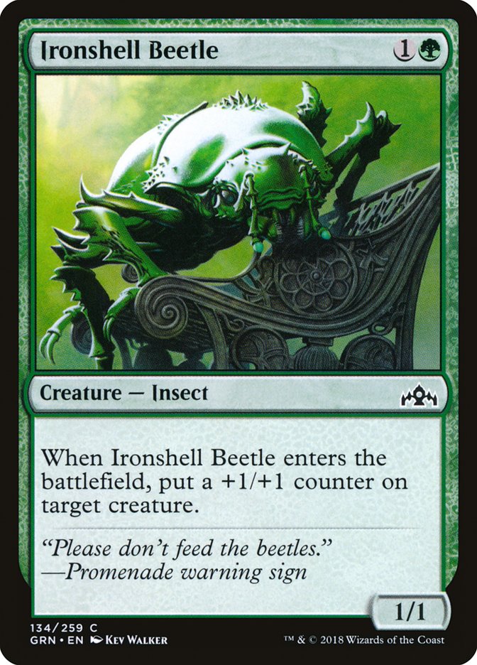 Ironshell Beetle, Guilds Of Ravnica Card Art