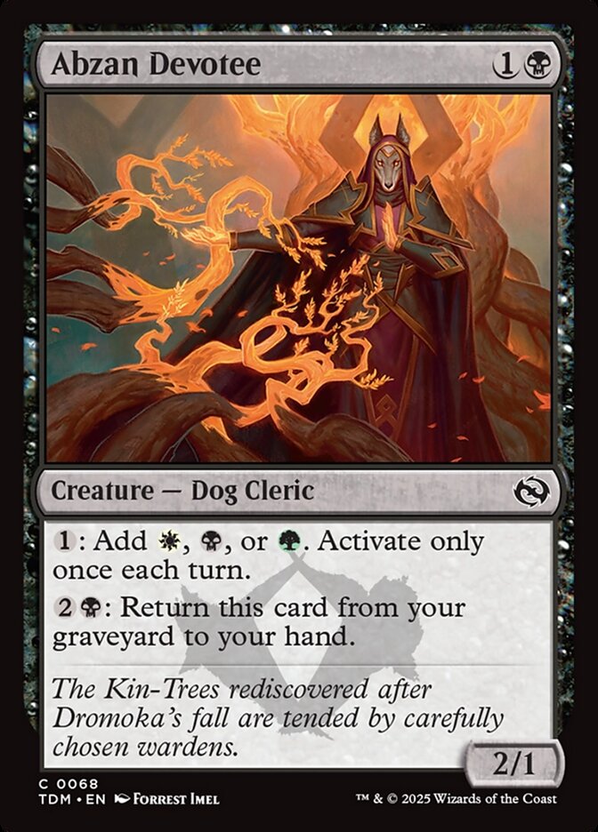 Abzan Devotee, Tarkir: Dragonstorm Card Art