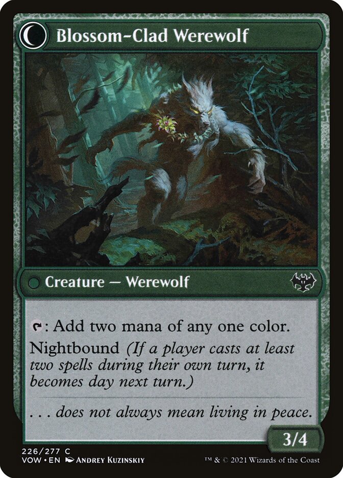 Weaver of Blossoms // Blossom-Clad Werewolf, Innistrad: crimson vow Card Art