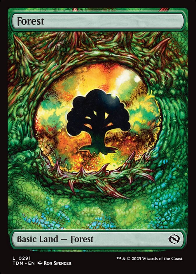 Forest, Tarkir: Dragonstorm Card Art