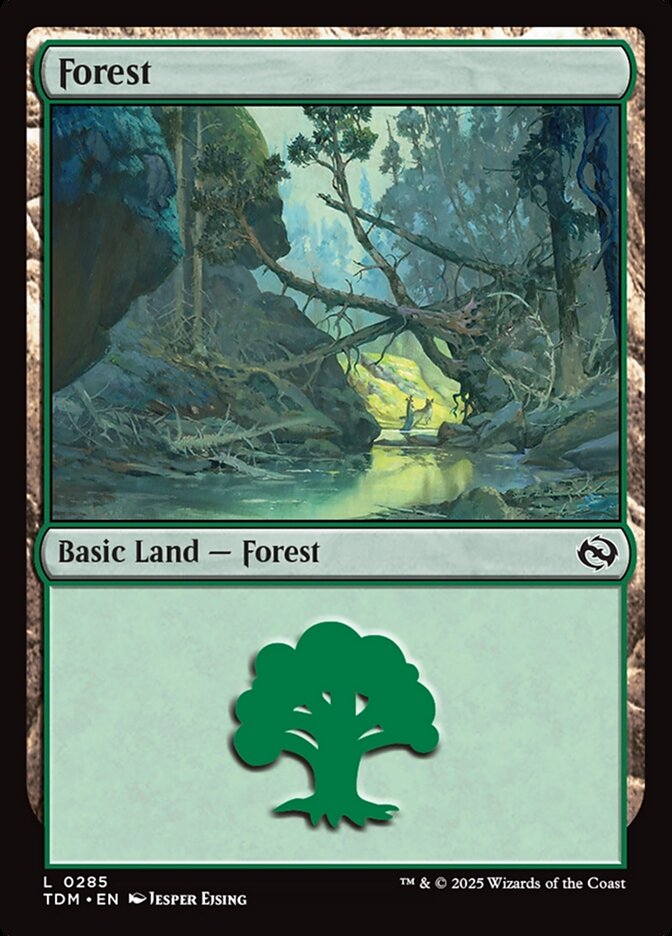 Forest, Tarkir: Dragonstorm Card Art