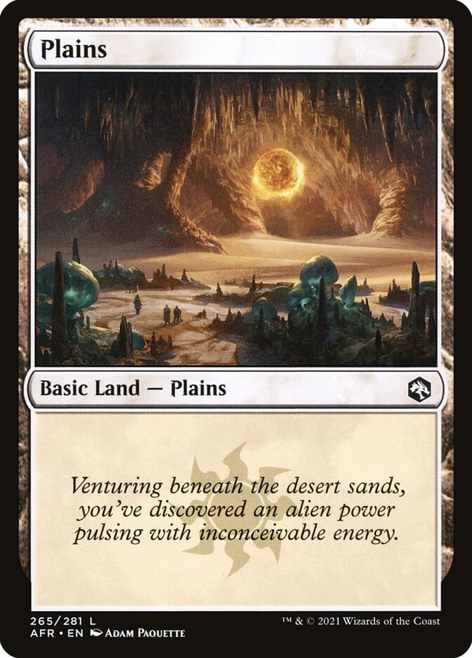 Plains, Adventures In The Forgotten Realms Card Art