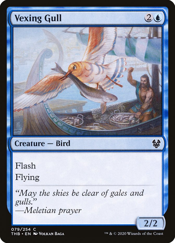 Vexing Gull, Theros beyond death Card Art