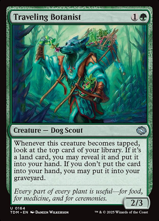 Traveling Botanist, Tarkir: dragonstorm Card Art