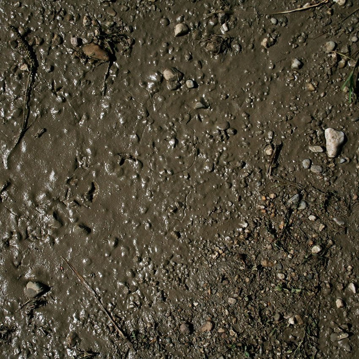 AK Interactive - Terrains - Wet Ground - 250ml