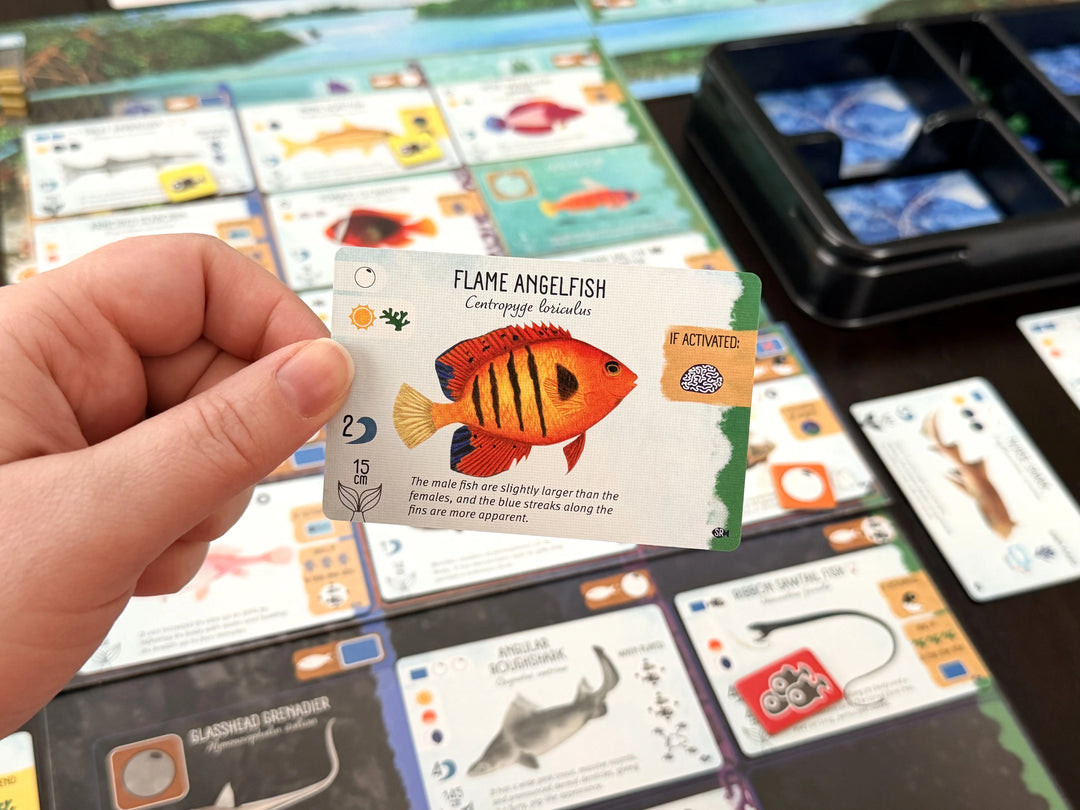 Finspan - Expansion - Sharks &amp; Reefs