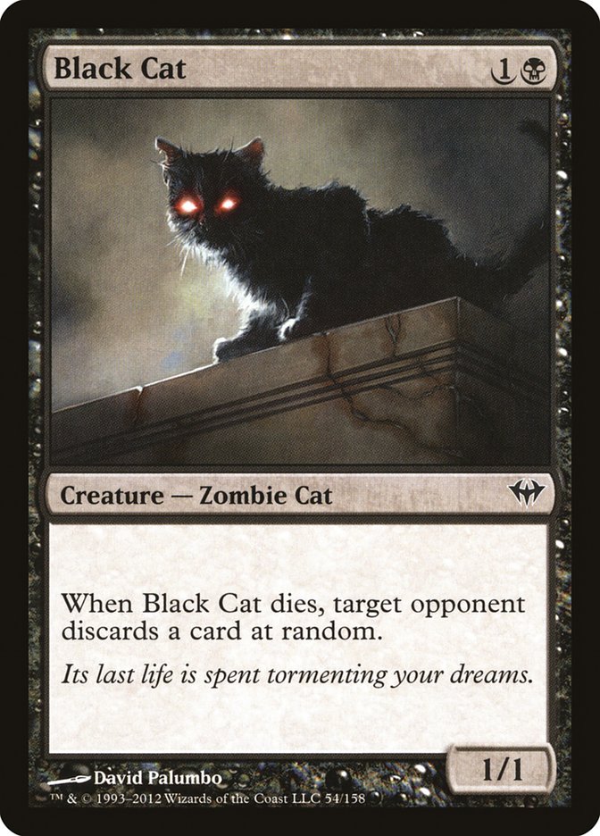 Black Cat - Foil