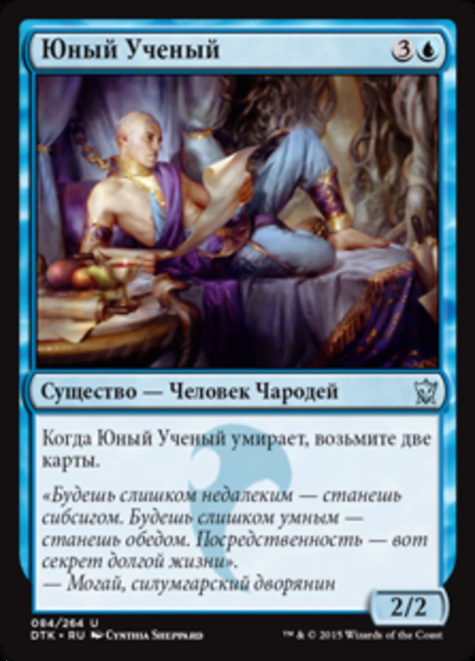 Youthful Scholar, Dragons Of Tarkir Card Art