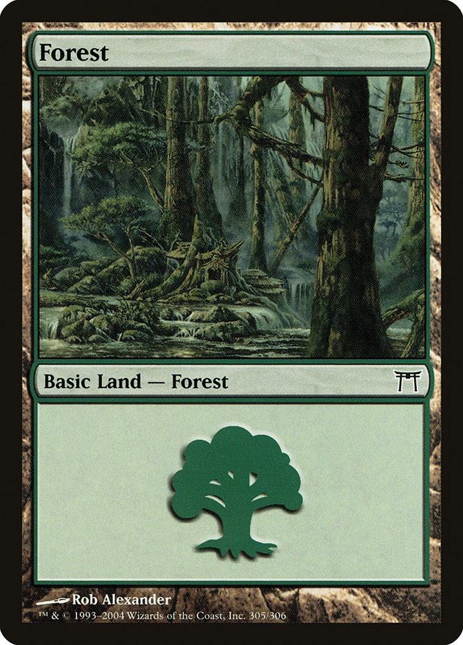 Forest, Champions Of Kamigawa Card Art