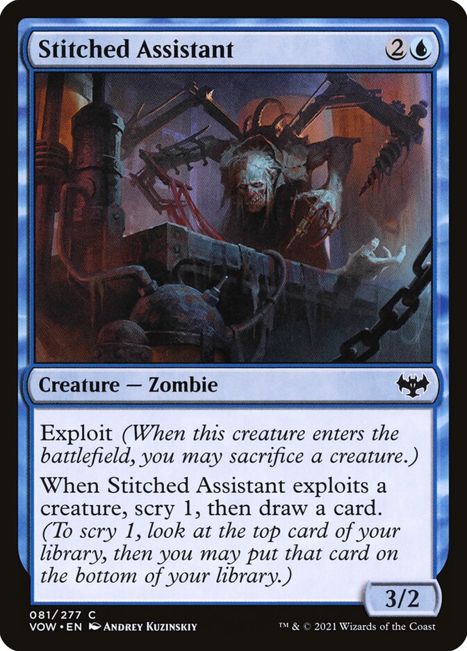Stitched Assistant, Innistrad: crimson vow Card Art