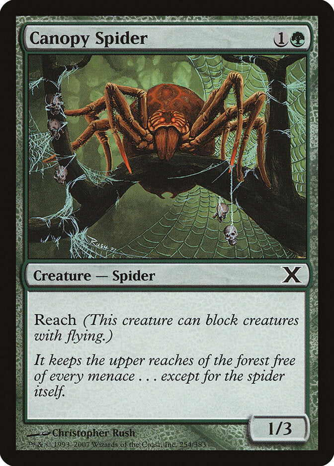 Canopy Spider, Tenth Edition Card Art