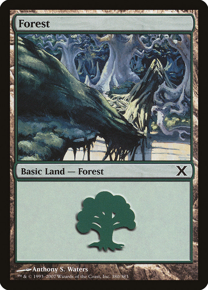 Forest, Tenth Edition Card Art
