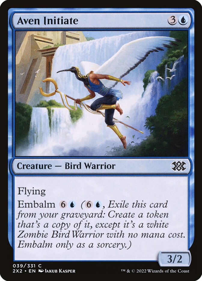Aven Initiate, Double masters 2022 Card Art