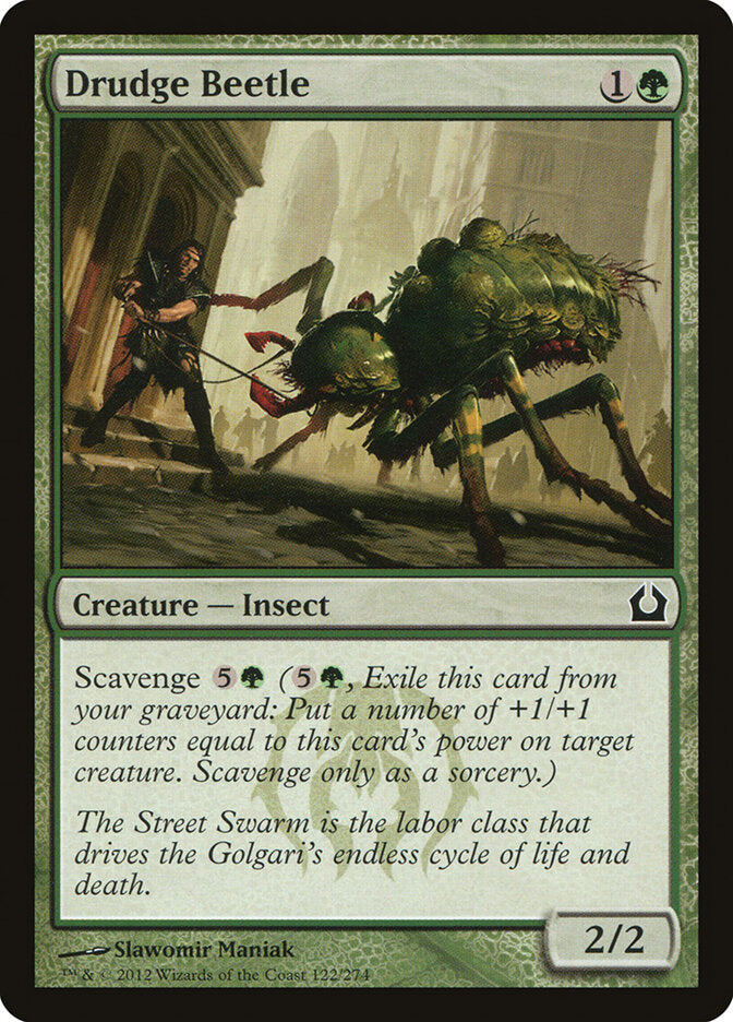 Drudge Beetle, Return To Ravnica Card Art