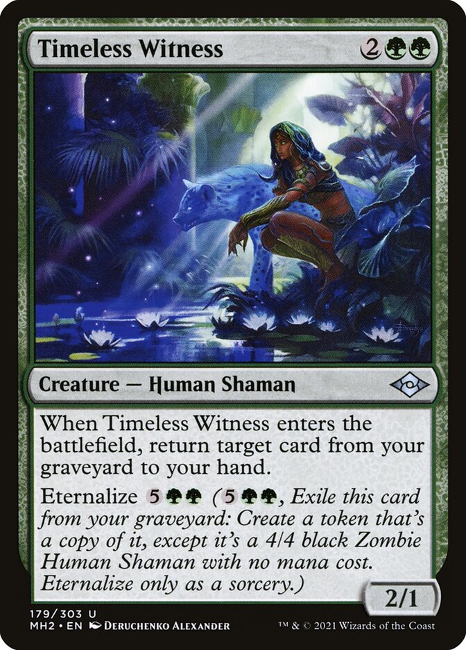 Timeless Witness, Modern Horizons 2 Card Art