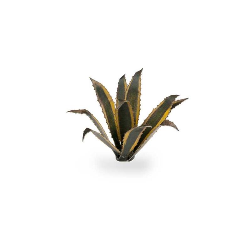 Gamers Grass - Laser Plant - Agave