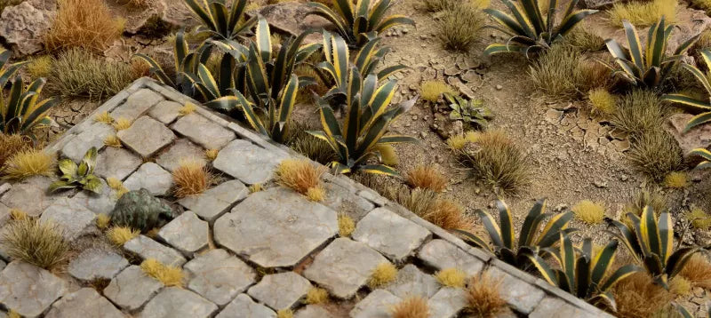Gamers Grass - Laser Plant - Agave