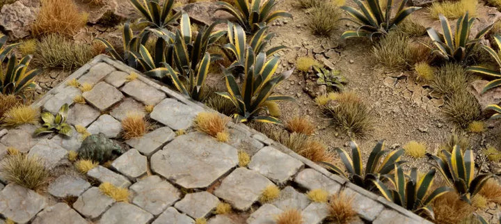 Gamers Grass - Laser Plant - Agave