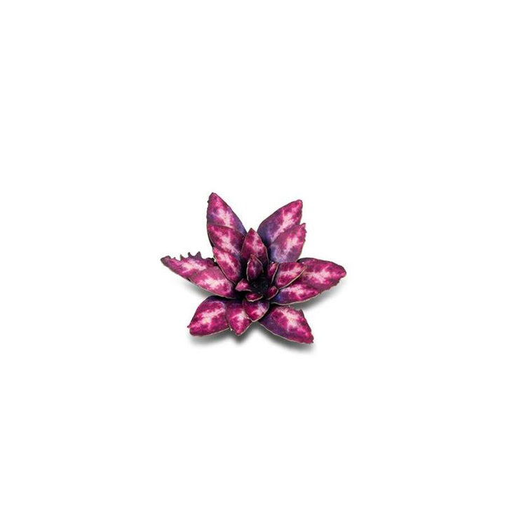 Gamers Grass - Laser Plant - Alien Rosette
