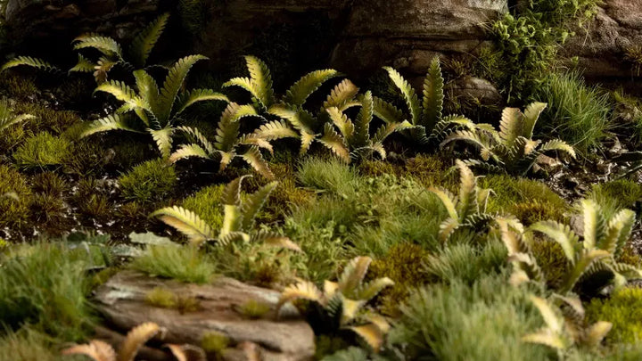 Gamers Grass - Laser Plant - Deer Fern