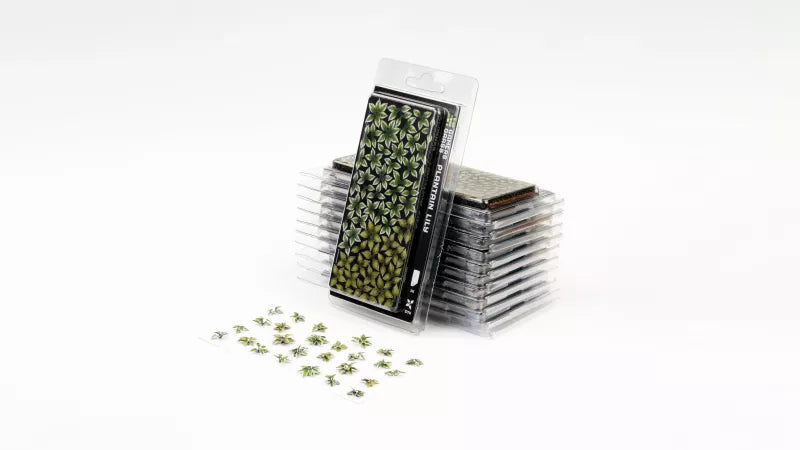 Gamers Grass - Laser Plant - Plantain Lily