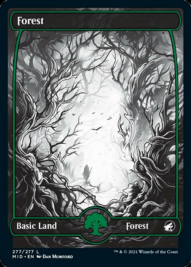 Forest - Foil