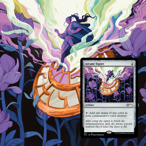 Magic: The Gathering - Secret Lair - A Box of Rocks