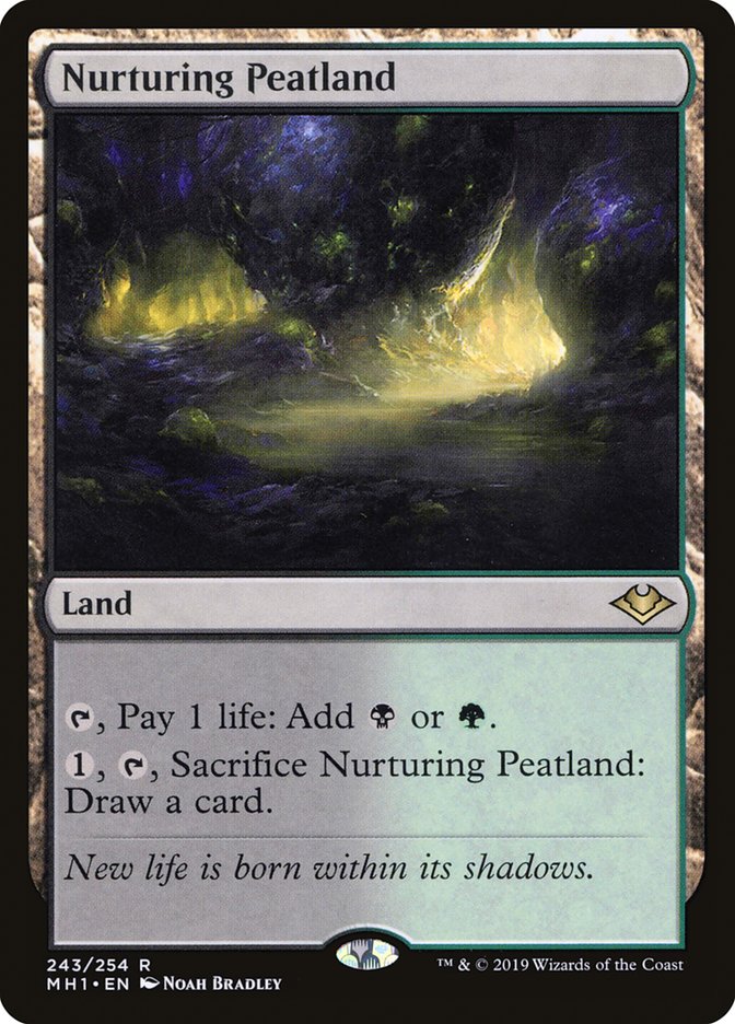Nurturing Peatland - Foil