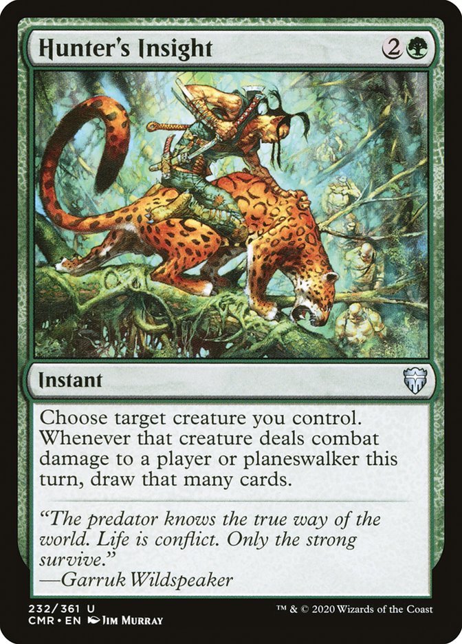Hunter's Insight - Foil