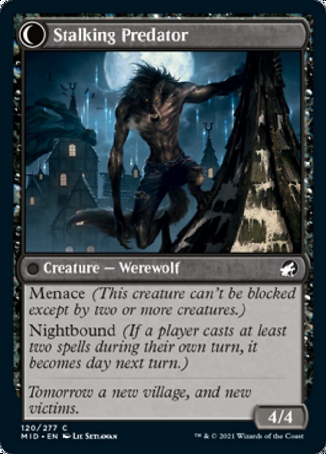 Shady Traveler // Stalking Predator - Foil