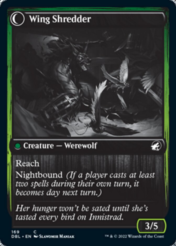 Bird Admirer // Wing Shredder