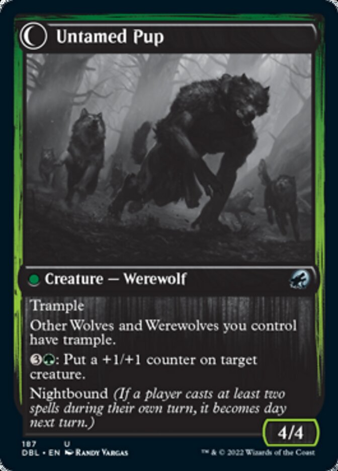 Hound Tamer // Untamed Pup