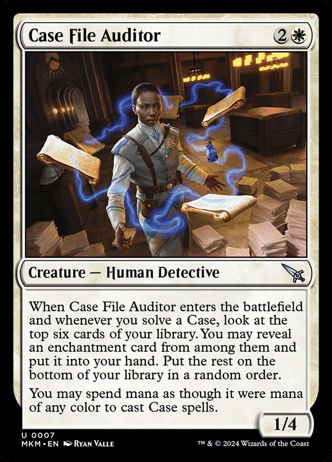 Case File Auditor - Foil