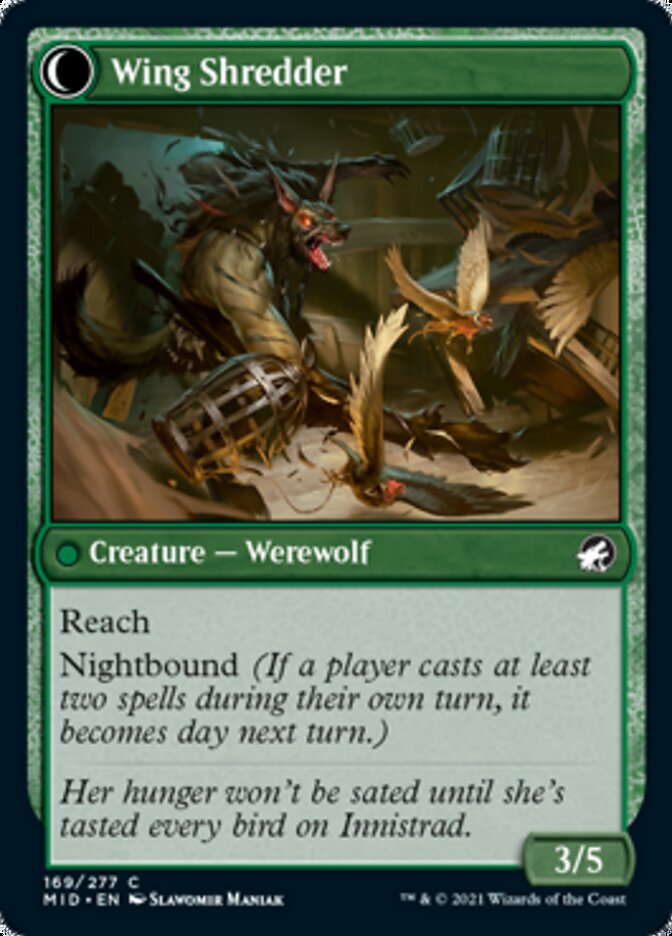 Bird Admirer // Wing Shredder - Foil