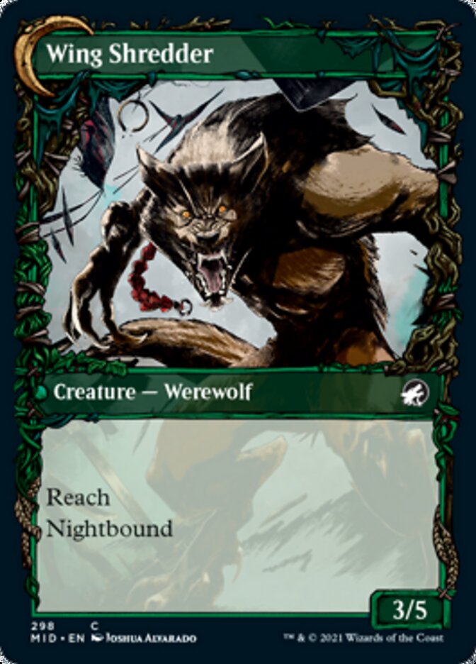 Bird Admirer // Wing Shredder - Foil