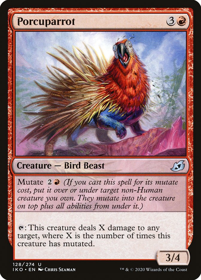 Porcuparrot - Foil