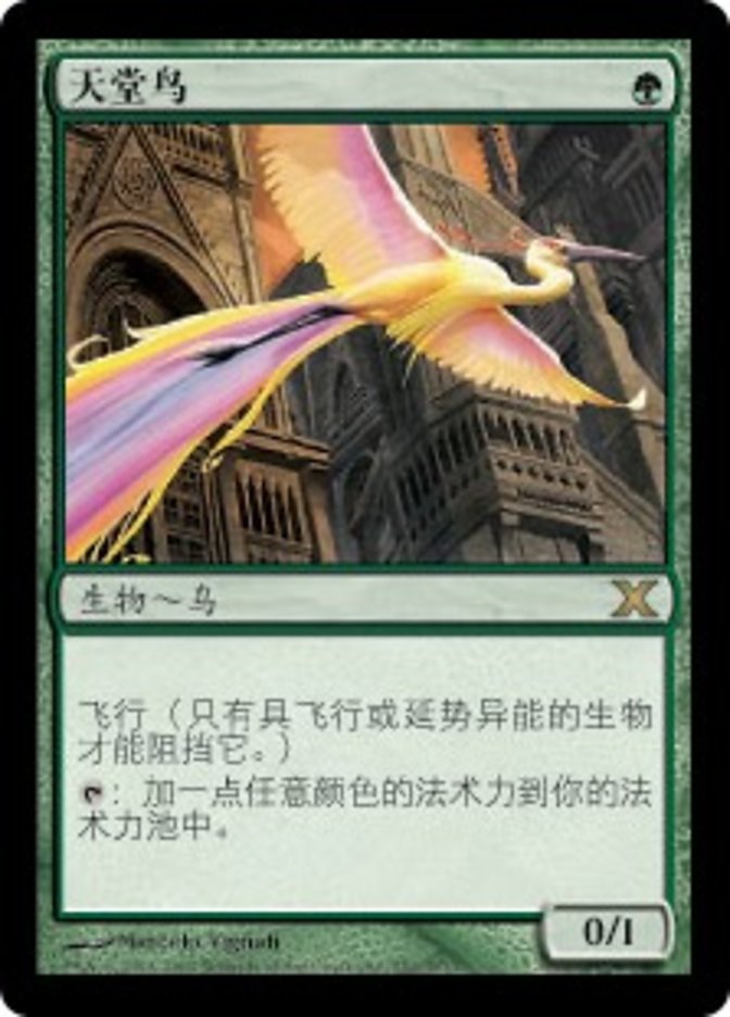 Birds of Paradise - Foil