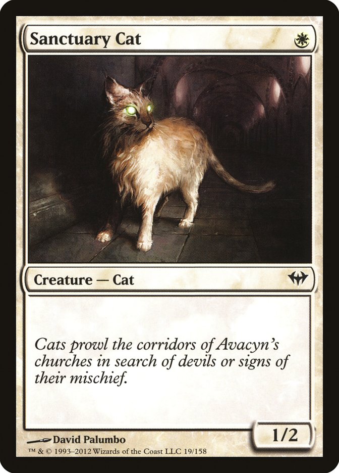 Sanctuary Cat - Foil