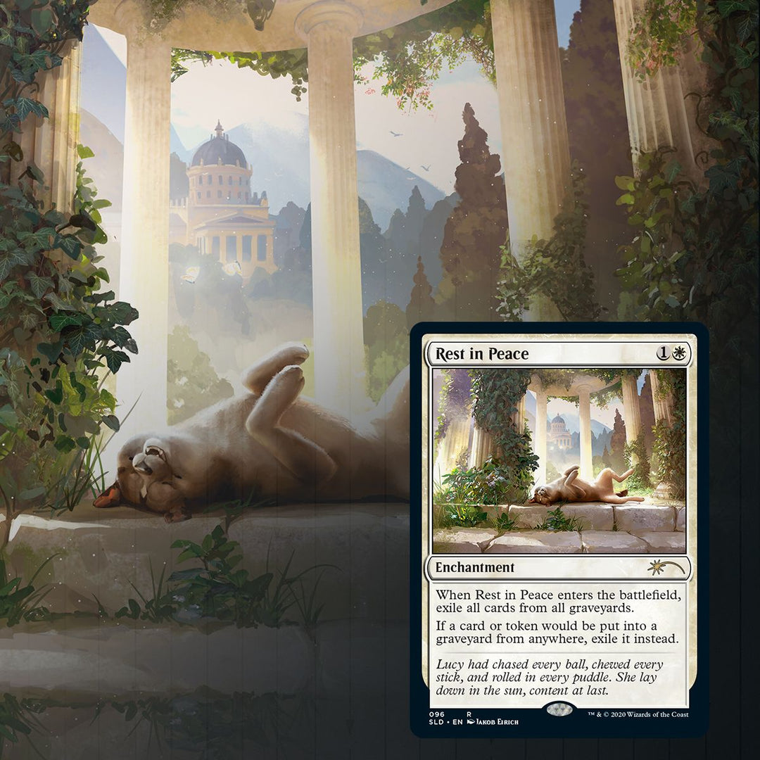 Magic: The Gathering - Secret Lair - Every Dog Has Its Day