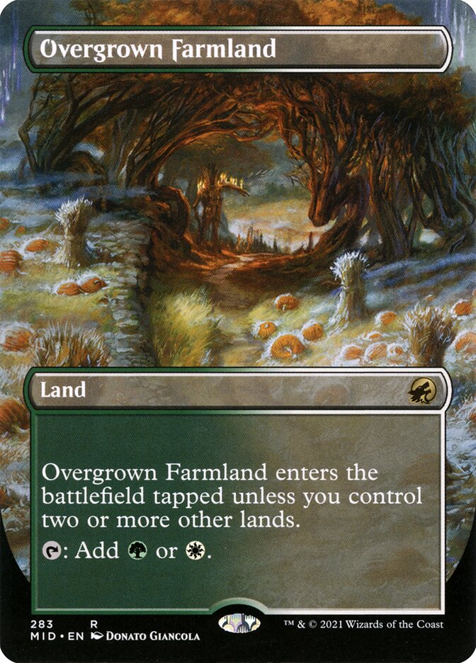 Overgrown Farmland - Foil