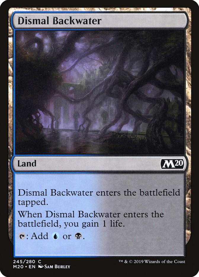 Dismal Backwater - Foil