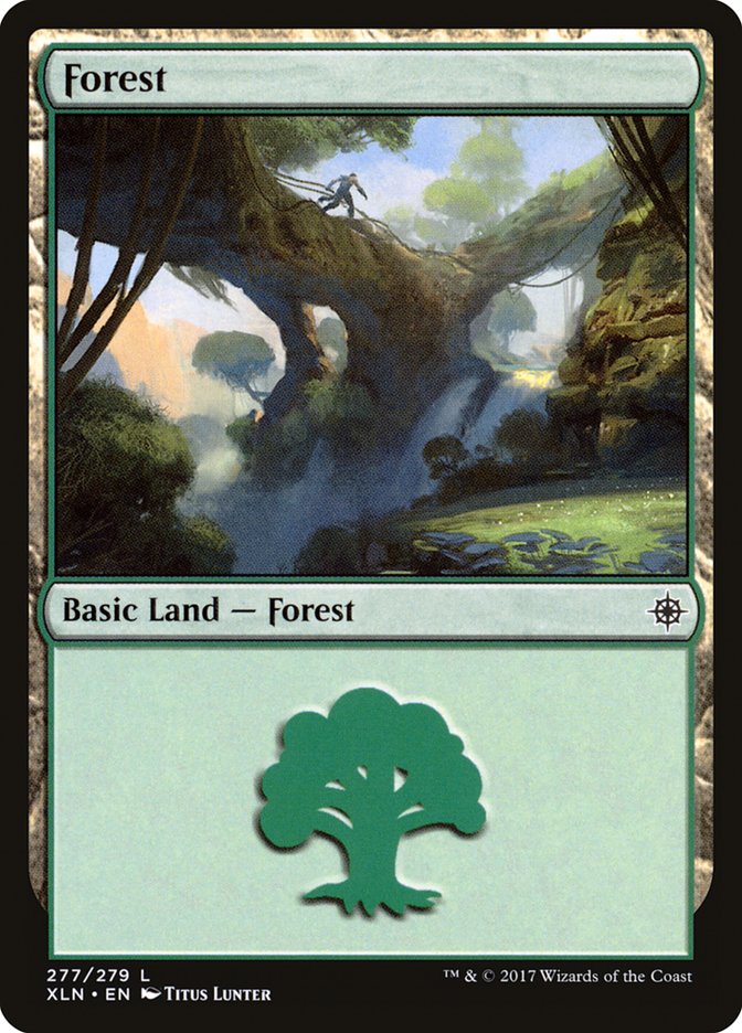Forest - Foil