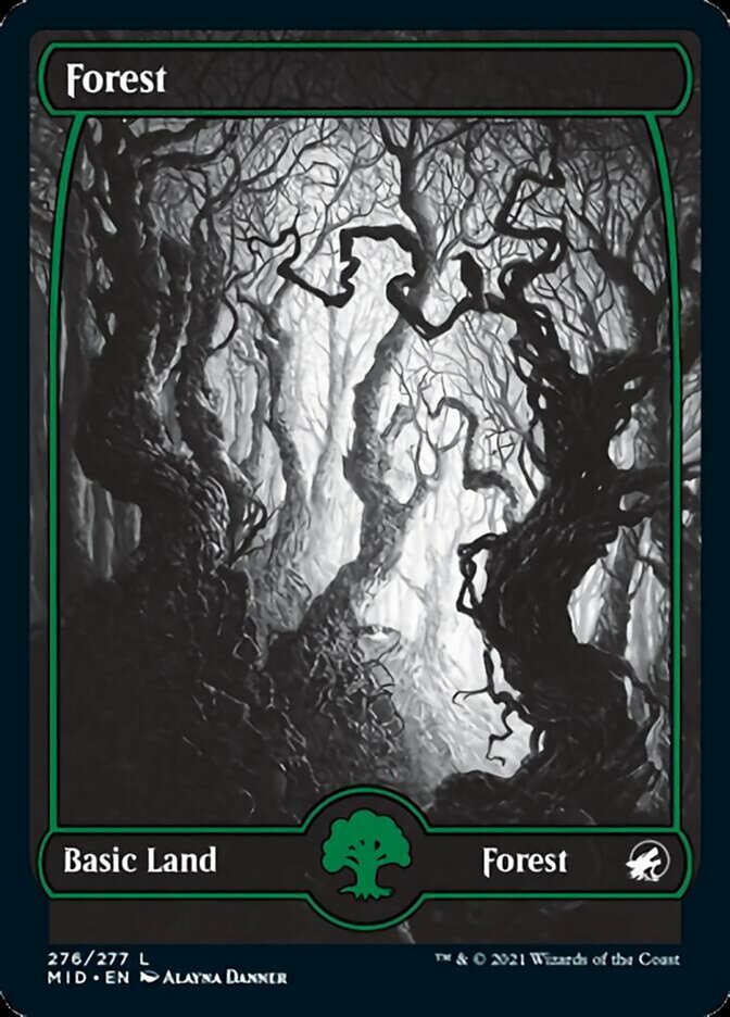 Forest - Foil