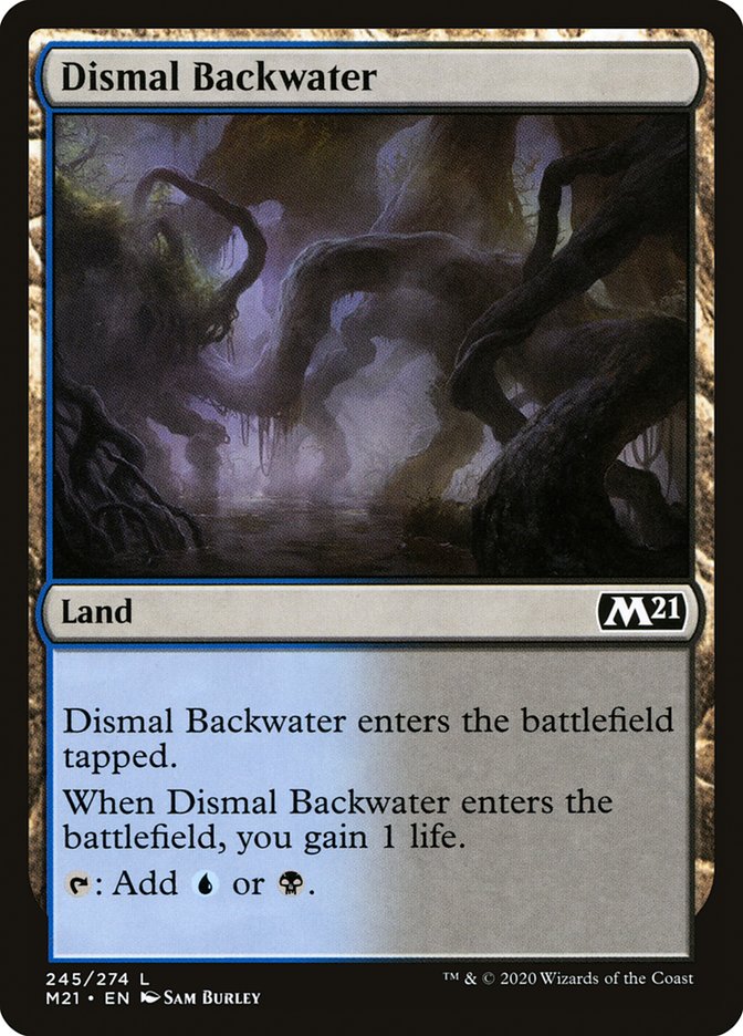 Dismal Backwater - Foil